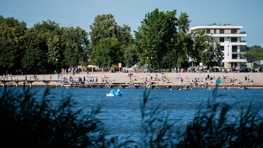 Sinice w zalewie na Borkach - jest komunikat