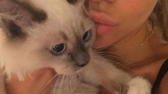 Siwiec pozbyła się kotka