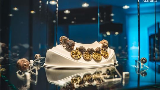 Skarby średniowiecza w muzeum