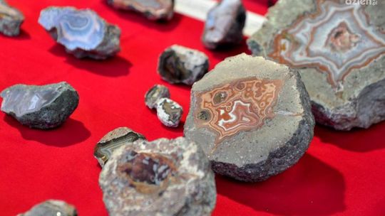 „Skarby Ziemi” w ten weekend