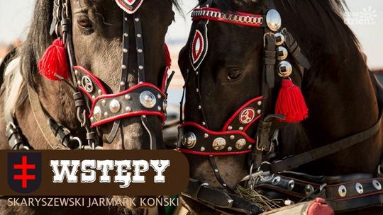 Skaryszew o reportażu w TVP 2: Nierzetelny