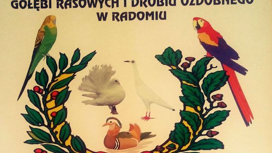 SKARYSZEW. Wystawa ptaków w ten weekend.
