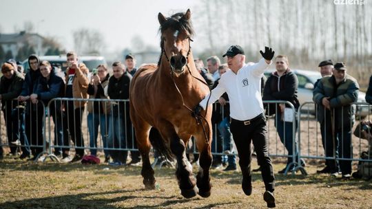 Skaryszewskie Wstępy po raz 392.