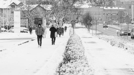 SLD w Radomiu za otwarciem branż