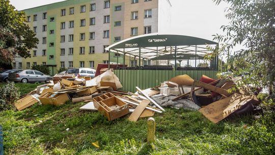 Śmieciowy problem 