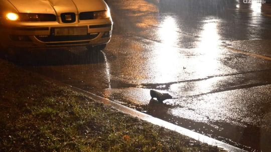 Śmiertelne potrącenie przy ul. Jana Pawła II