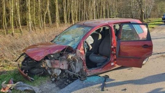 Śmiertelny wypadek pod Przysuchą