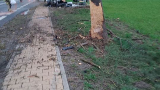 Śmiertelny wypadek w Przydworzycach
