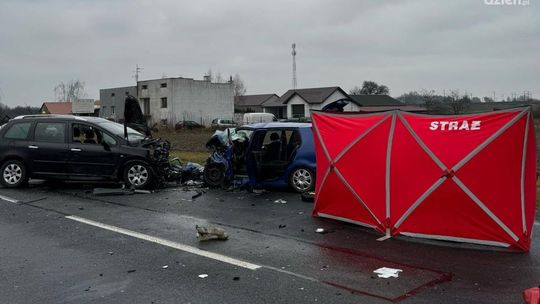 Śmiertelny wypadek w Rajcu Szlacheckim na DK 12
