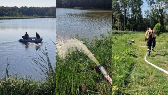 Śnięte ryby w zbiorniku Trzy Stawy