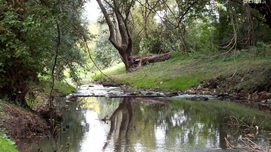 Spacer doliną Mlecznej