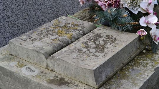 Spacer pamięci radomskich bibliotekarzy