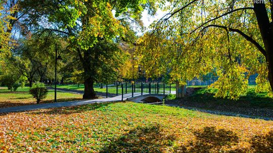 Spacerkiem po mieście: Park Leśniczówka