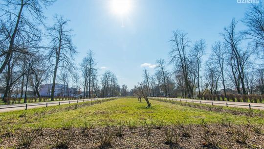 Spacerkiem po mieście: Stary Ogród