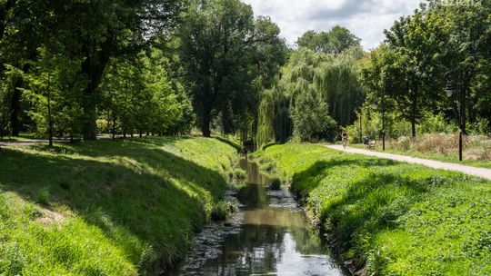 Spacerkiem po mieście: Stary Ogród