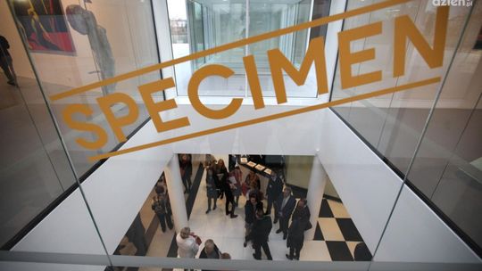 „Specimen. Próba kolekcji” - kuratorskie oprowadzanie