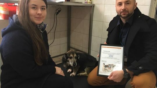 Specjalna waga dla schroniska dla zwierząt