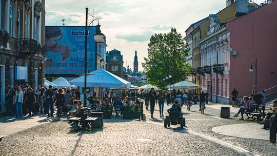 Specjalny piknik familijny w Parku Kościuszki. Będzie bardzo dużo atrakcji 