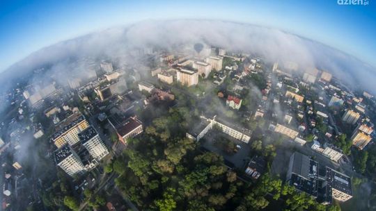Spektakularny wynik rodzimej marki!