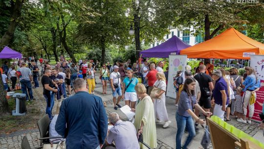 Spontan Familijny w parku Kościuszki. Było bardzo dużo atrakcji