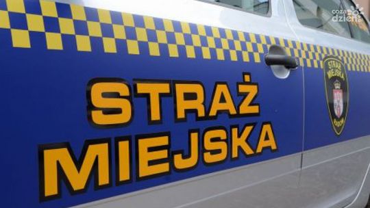 Sprawdziliśmy czym Straż miejska zajmowała się w marcu