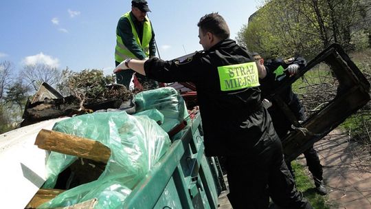 Sprzątnijmy śmieci na jesień!