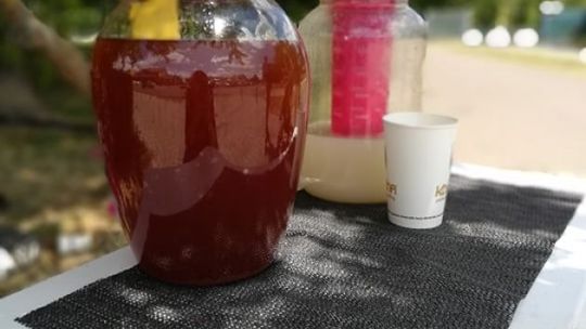 Sprzedają lemoniadę. Zbierają na schronisko