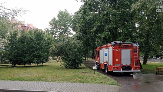 Środowe burze nad Radomiem i powiatem radomskim. Zalane ulice, połamane gałęzie Środowe burze nad Radomiem i powiatem radomskim. Zalane ulice, połamane gałęzie