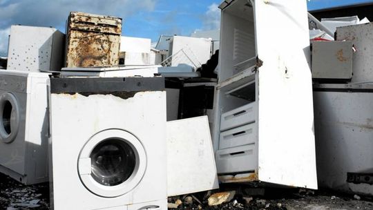 Starą lodówkę czy pralkę odbiorą za darmo