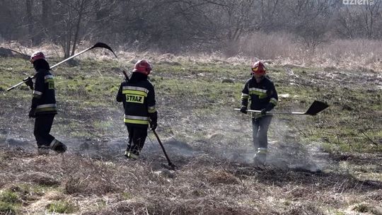 Stop Pożarom Traw! Niechlubny wynik Radomia