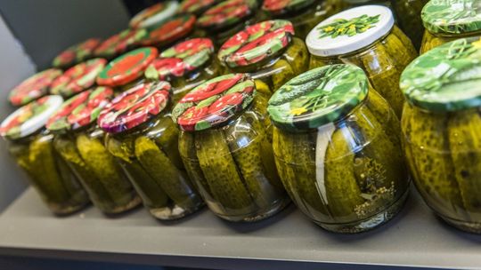 Stowarzyszenie Droga Mleczna zaprasza na warsztaty kulinarne 