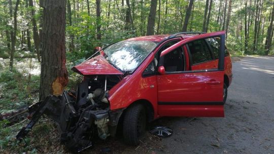 Stracił panowanie nad pojazdem. Uderzył w drzewo