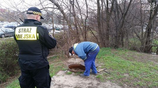 Straż miejska dba o bezdomnych