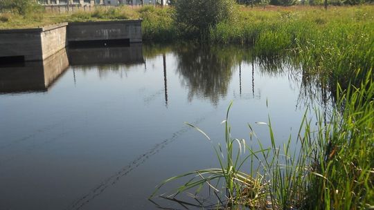 Straż Miejska kontroluje dzikie kąpieliska. Można stracić 250 zł!