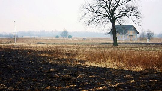 Strażacy walczą z pożarami traw