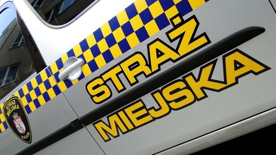 Strażnicy miejscy w lutym interweniowali prawie 1400 razy
