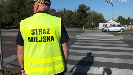 Strażnicy na pasach