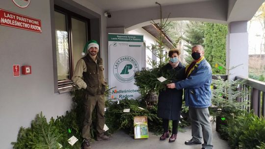 Stroisz od radomskich leśników do świątecznych stroików