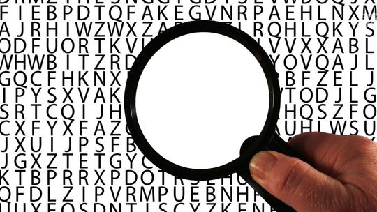 Strona internetowa na WordPress słownik pojęć