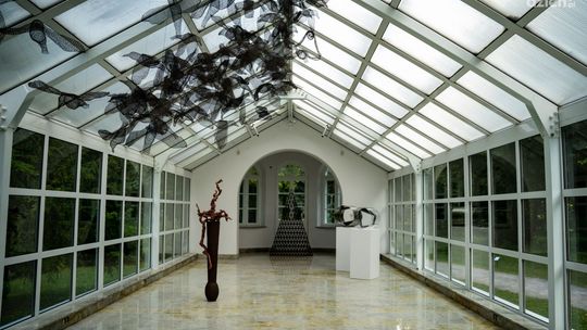 Struktury rozgałęzione