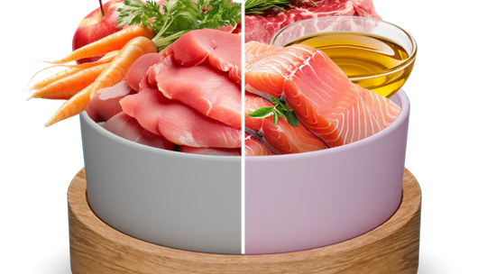 Sucha karma dla psa – nie tylko wygoda. Jak wybrać tę najlepszą?