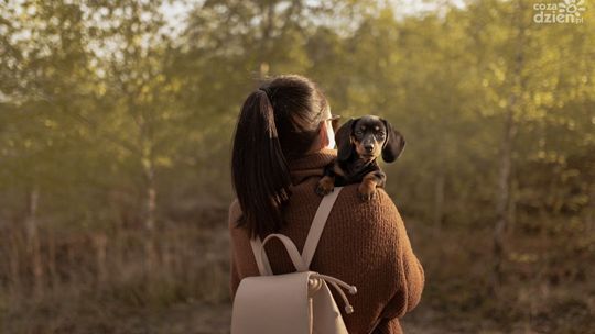 Sweter idealny na wiosnę. Jaki będzie najlepszy?