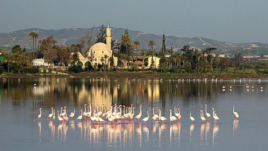 Świąteczny City Break na Cyprze. Nowe Połączenie z Lotniska Warszawa-Radom z WizzAir 