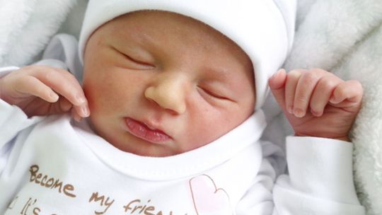 Światowy dzień in vitro. Wkrótce zabiegi będą przeprowadzane w Radomiu 