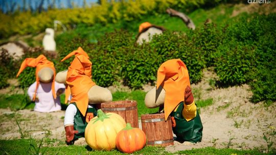 Święto Bulwy w Magicznych Ogrodach