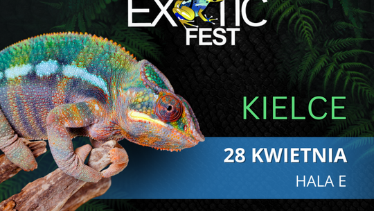 Święto egzotyki w Targach Kielce