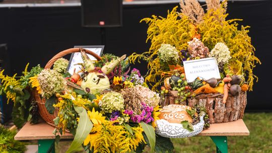 Święto plonów w gminie Jedlnia-Letnisko