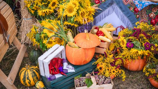 Święto plonów w Myśliszewicach już 6 września!