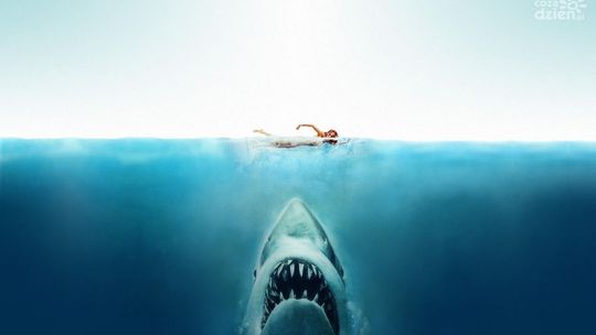 SWOJĄ ODGRYZIONĄ NOGĄ MĘŻCZYZNA ZABIŁ REKINA (ZDJĘCIA)