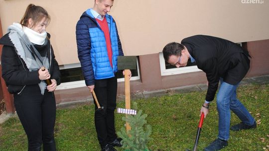 Symboliczne drzewko i list w butelce